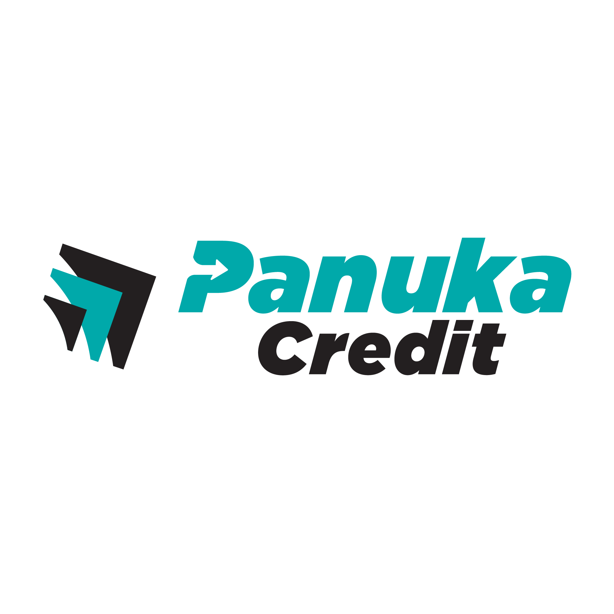 Panuka logo official